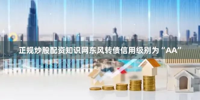 正规炒股配资知识网东风转债信用级别为“AA”