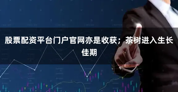 股票配资平台门户官网亦是收获；茶树进入生长佳期